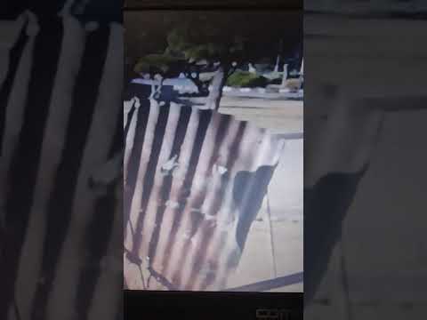 un fantasma 👻👻👻 levantó la chapa en toay la pampa argentina