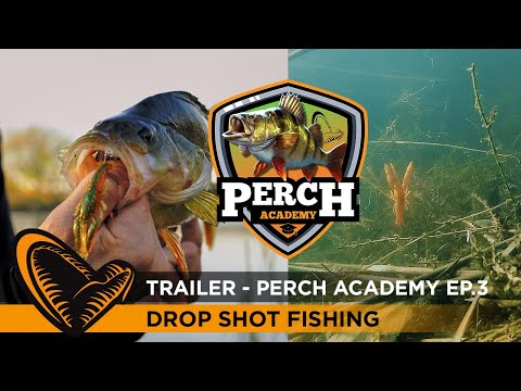 TRAILER Perch Academy Episode 3 - Dropshot fishing