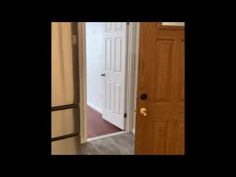 video 1