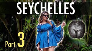 The Forbidden Fruit - Seychelles Part 3 - Praslin 