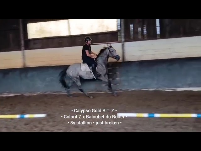 under saddle