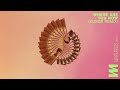 Lost Frequencies Ft Calum Scott Where Are You Now Kungs Remix