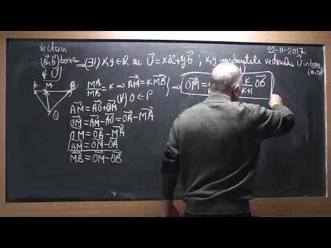 2/4 Lectia 1638 - Clasa 9 - Operatii cu vectori Vector liber Vector de pozitie Probleme de geometrie