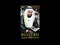 RUQYAH MISHARY RASHID ALAFASY Surah Al Ahqaf 29 32
