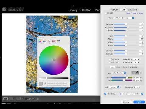 How to do basic color grading to film negative conversions in Negative Lab Pro