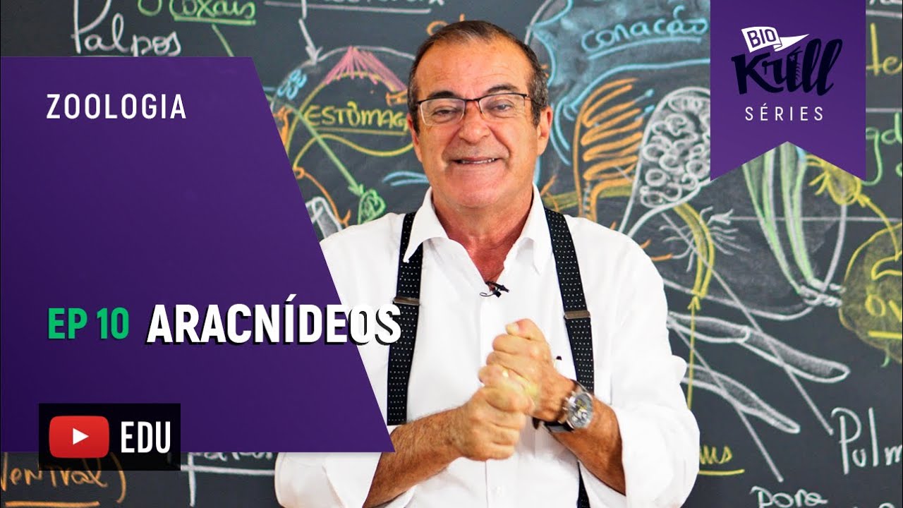 Aracnídeos (Zoologia - EP10) I Biokrill Séries
