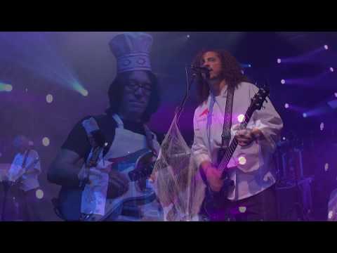 Pigeons Playing Ping Pong feat. Tomo Fujita - "Couldn't We All" Live at HOB Boston 10/31/19