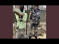Nugget Tapperz Pt2 Mo P