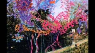 Animal Collective - Daylight