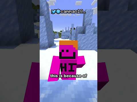 THE RAREST BLOCK IN MINECRAFT HISTORY FOR REAL GUYS PLEASE TRUST ME THIS TIME GUYS PLEASE
