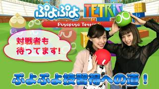 【2018/6/21配信】ぷよテト / 対戦者募集！ぷよぷよ技習得への道！