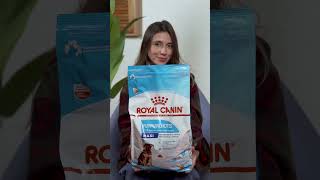 Royal Canin Maxi