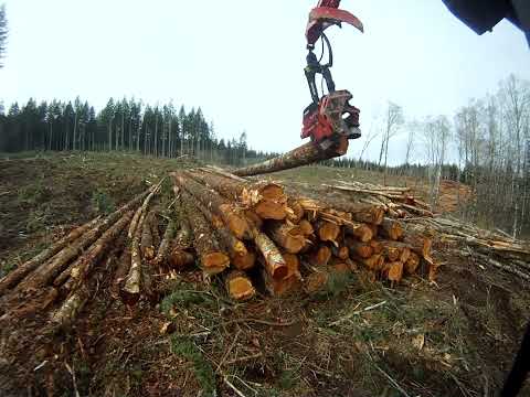 Processing some of the nicest timber I've ever logged with a 624c Waratah
