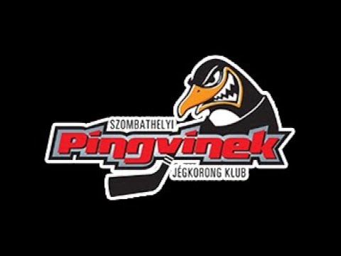 U12 R120 Szombathelyi Pingvinek - FTC-Telekom 23.10.22.