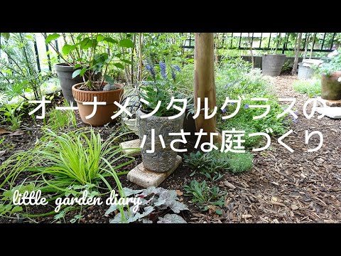 ゼブラグラス、ポーキュパイングラス 植物