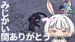 #2【ARK:SA / Genesis1】クマをとっ捕まえる！【ASA/ARK: Survival Ascended】#RozeARK4 #Vtuber #兎雪柊那