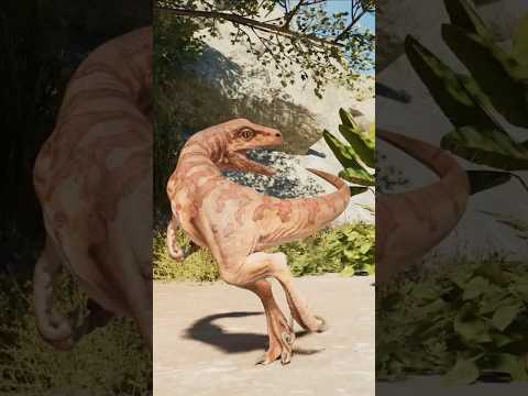 TINY BABY RAPTOR IS VERY PLAYFUL 🦖 - Jurassic World Evolution 3