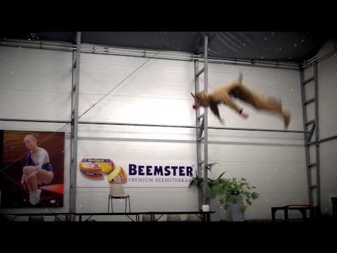 Triffis kerstgroet 2013