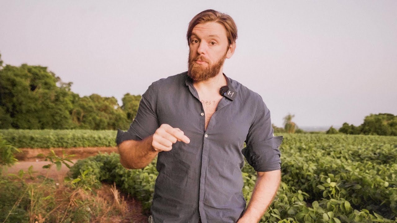 Só não ganha dinheiro quem não quer [eu vou te provar]