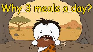 Why Humans Eat 3 Meals a Day
