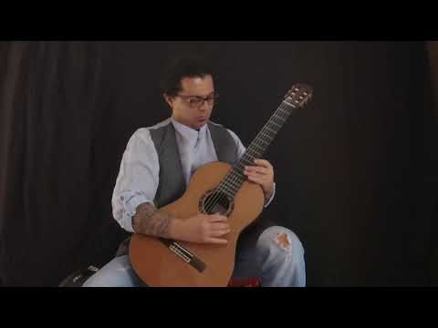 Marco D'Andrea plays Les Adieux Op  21 (Fernando Sor)