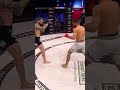 Daniel Weichel's ROUND 1 TKO! ✨ #shorts #bellator299