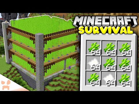 Building A HUGE SUGARCANE FARM In Minecraft 1.19 Survival! (#64)