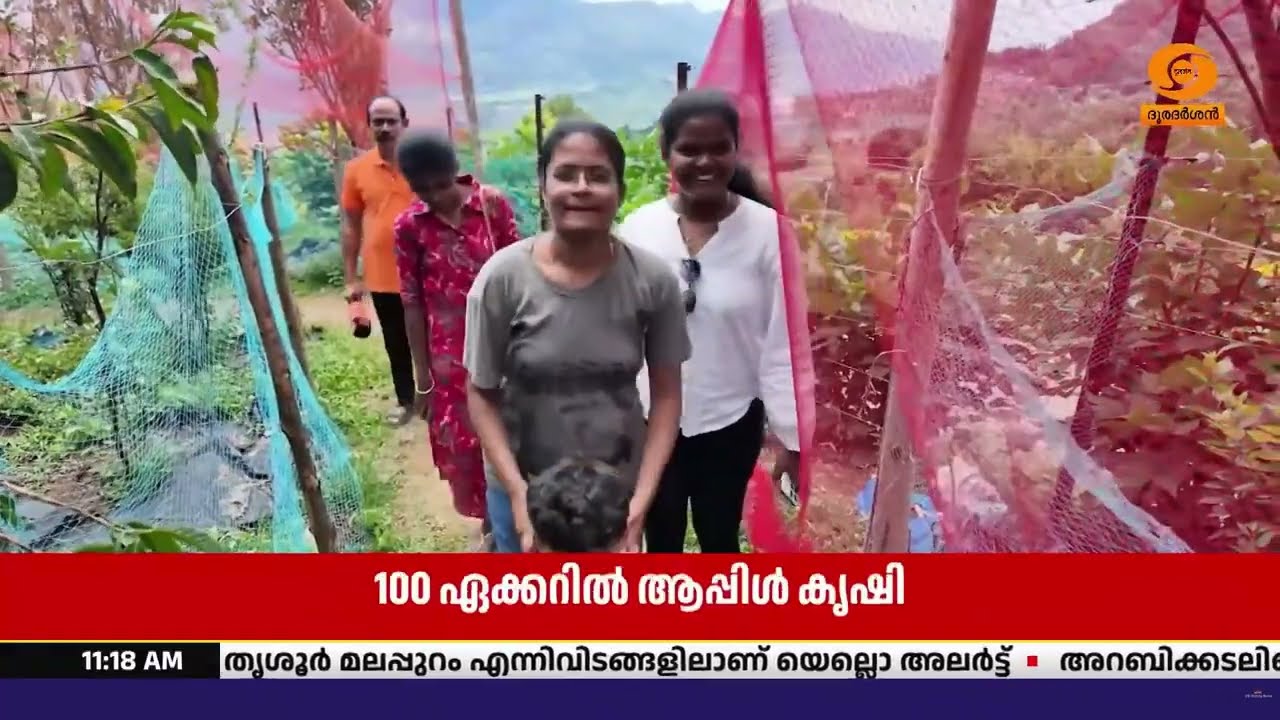 കേരളത്തിൽ ആപ്പിൾ വിളയുന്ന ഒരേയൊരിടമാണ് കാന്തല്ലൂർ,