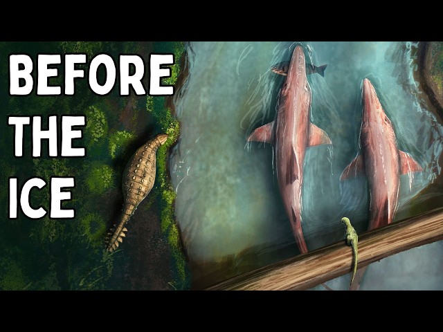 When Antarctica Was A Massive Jungle SDDEFAULT Thumbnail