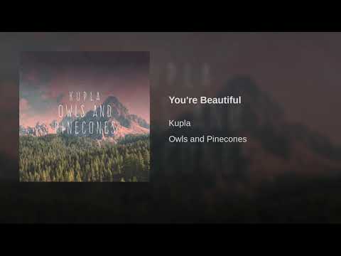 Video thumbnail for You’re Beautiful
