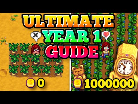 The ULTIMATE Year 1 Beginner Guide | Tips & Tricks