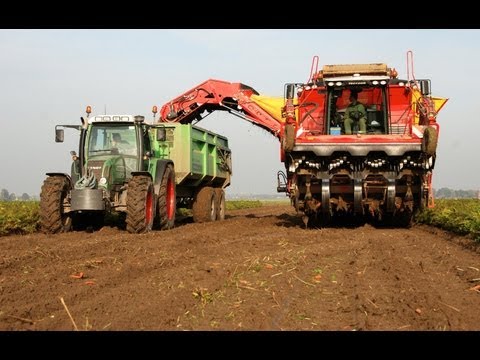 Wortels rooien, Harvesting carrots, Karotten ernte - Grimme Tectron 415 - Vrolijk Landbouw