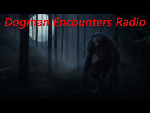 Dogman Encounters Episode 332 (Frank Sobczak’s Dogman Encounter)
