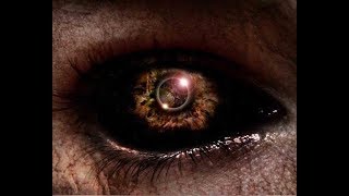 Disarmonia Mundi   A Taste of Collapse