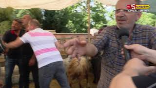 Seydişehir'de canlı hayvan pazarında Arife gün hareketliliği