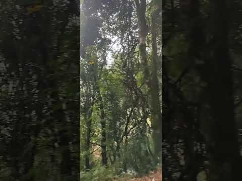 dia 11: Conceição das Pedras x Vargem Alegre