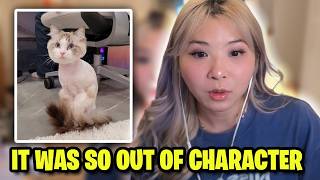 Yvonnie's Cat STOLE Food From Her