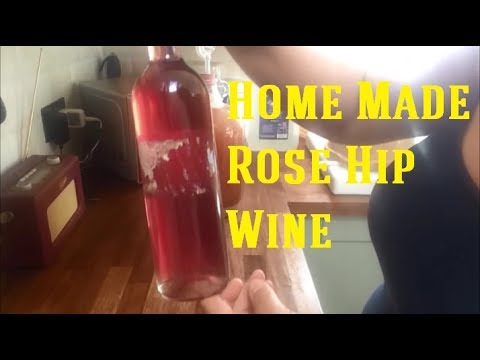 download lagu mp3 mp4 Rose Hip Wine For Sale, download lagu Rose Hip Wine For Sale gratis, unduh video klip Rose Hip Wine For Sale