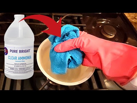 5 Surprising Ways to Clean with Ammonia Everyone Should Know (⚡Brilliant)