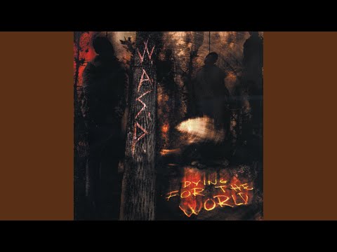 Hallowed Ground - W.A.S.P.