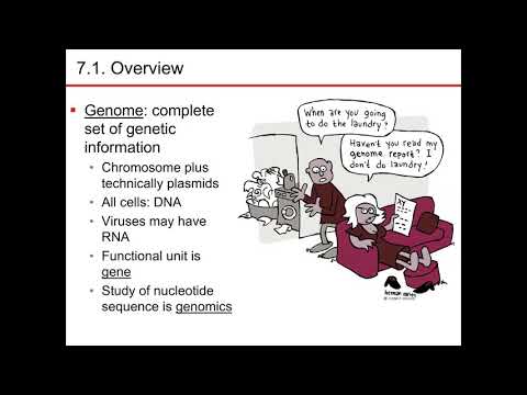 Chapter 7 part 1 Microbiology Nester Sandburg