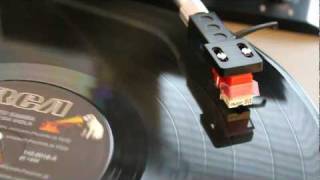 O Tímido e a Manequim - Paulinho da Viola