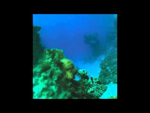 Tiny Fingers - The Fall / Eyes Of Gold / Traveller Soul