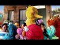Sesame Street Memory Common ThisIsMyStreet