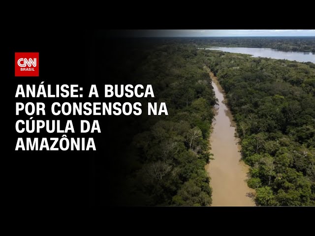 Análise: A busca por consensos na Cúpula da Amazônia | WW