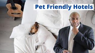 Increase Hotel Direct Bookings with Pet Friendly Bookings | Pet Friendly Hotels