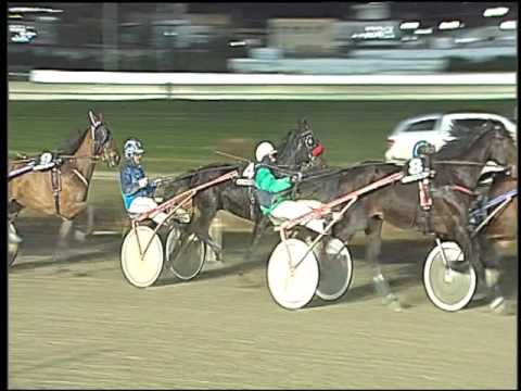 Trotto 20/12/2016 - 5ª corsa