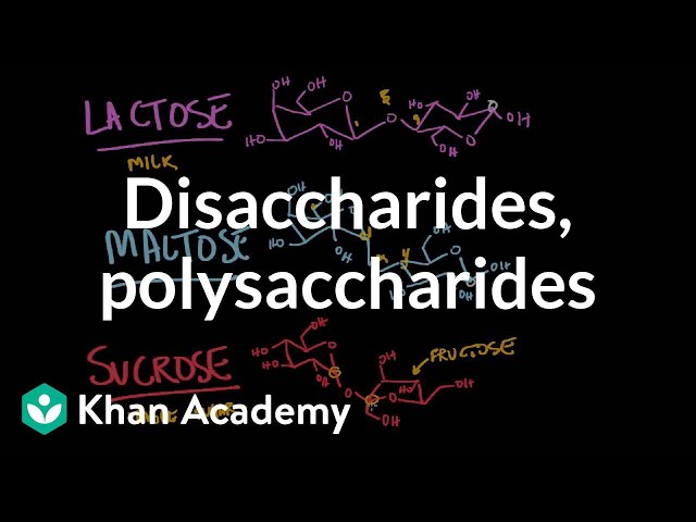 Wymowa wideo od Disaccharide na Angielski