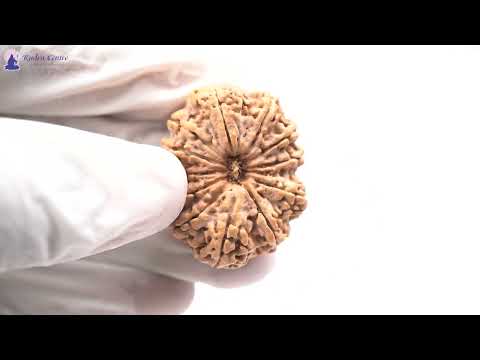 Rudraksha Product Image