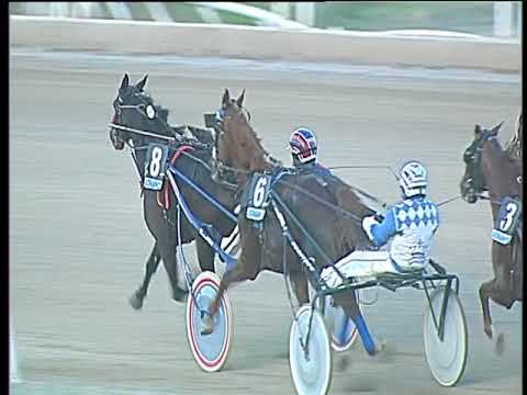 Trotto 17/11/2017 - 4ª corsa